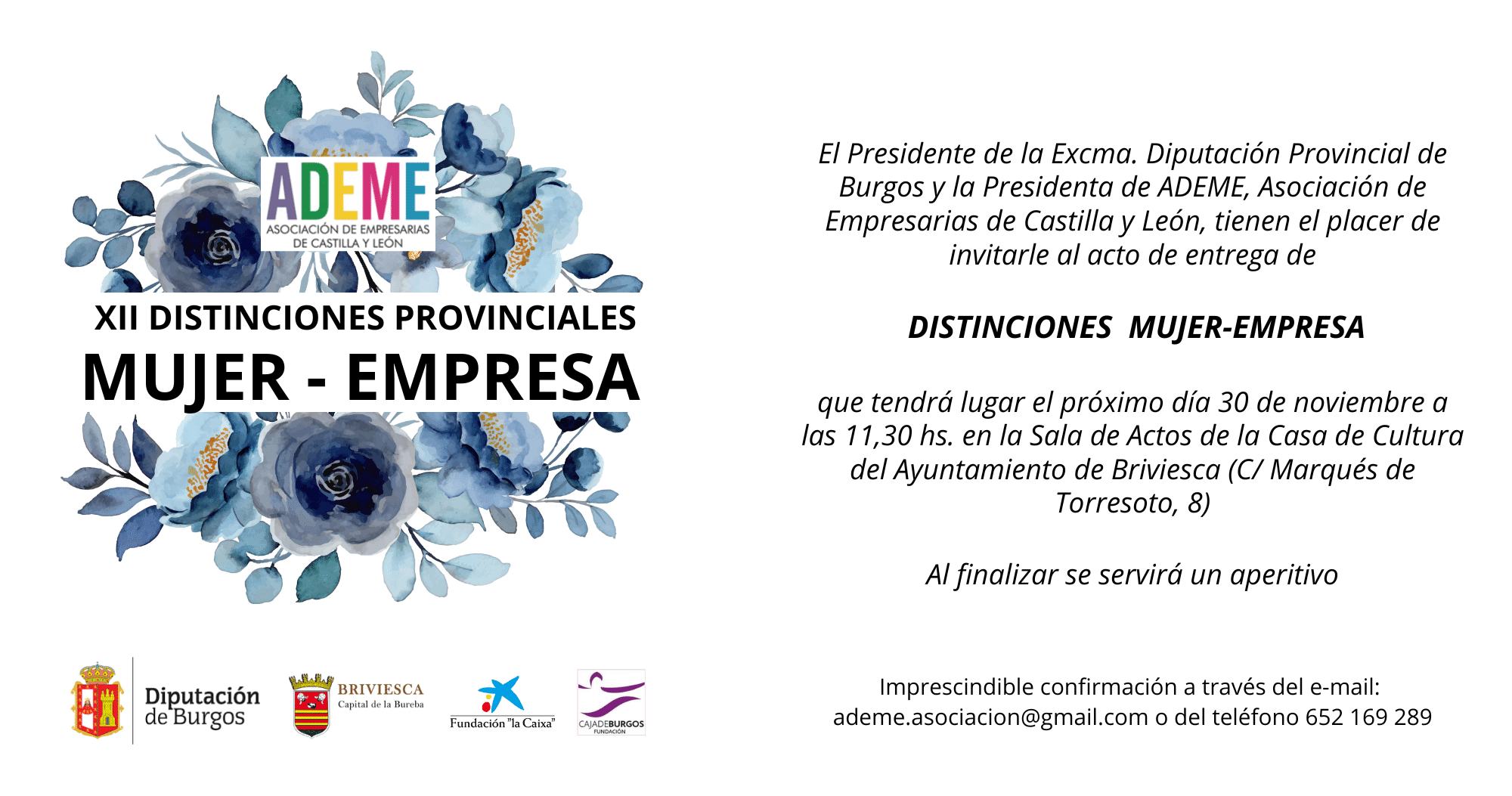 DISTINCIONES PROVINCIALES MUJER-EMPRESA 